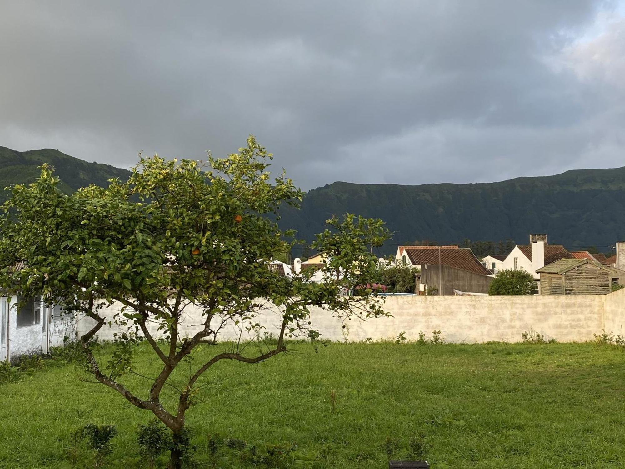 The Cedar Tree House Studio 48 Sete Cidades Extérieur photo